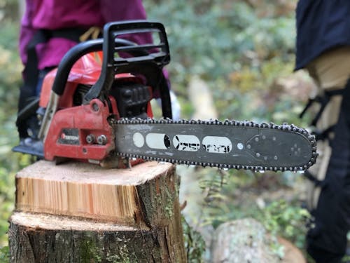 施設を拠点に、森林体験などの体験型コンテンツを提供予定。