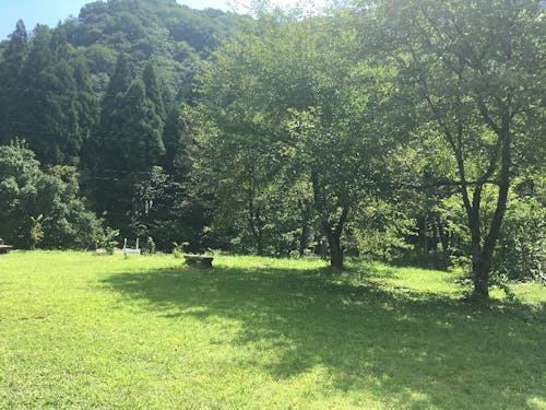 大自然あふれるキャンプ場で展開します