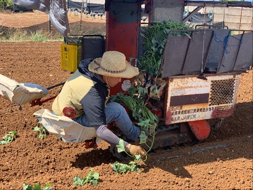 「農業」って奥深いんです!