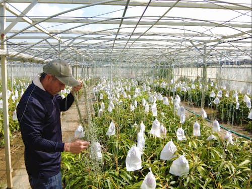 勉強を兼ねて農家さんでアルバイト!