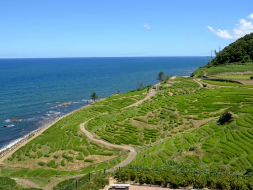 里山里海でのスローライフも楽しめます(石川県/白米千枚田)