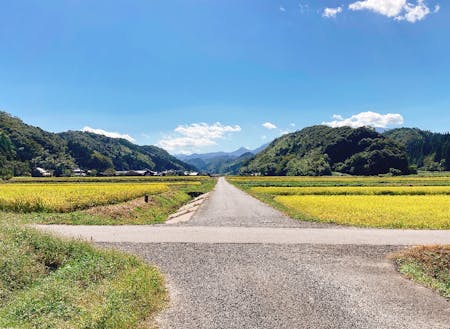 琴浦町には谷が多く、気持ちのいい一本道の景色は最高です！