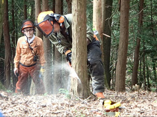 林業の様子