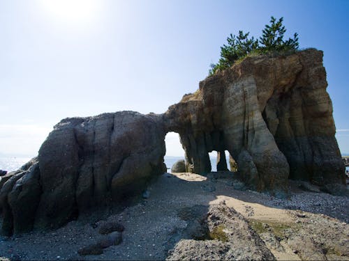 (山陽小野田市)本山岬公園のくぐり岩、干潮時のみ現れ、くぐると幸せになれるとか!