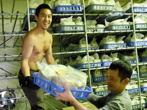 島を支えるこれぞ男の力仕事!