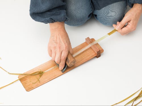 苧麻の皮から繊維を取り出す様子