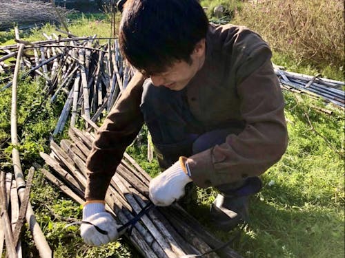 竹の支柱を束ねて来年に向けての準備です。