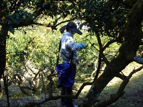 傾斜面での作業。最初は立つのもやっとの場所も。