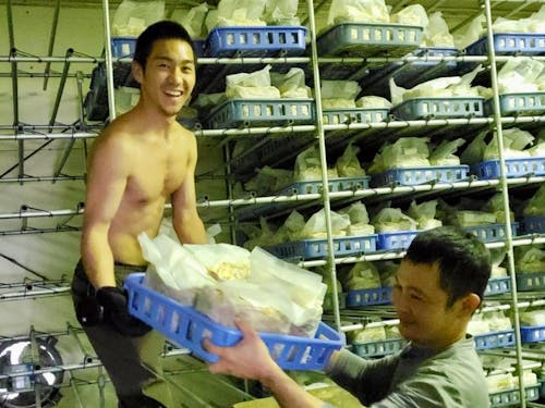 頼もしい仲間たちが、あなたを待っています!