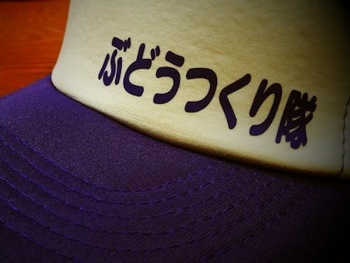 入隊するともれなくぶどうつくり隊オリジナルキャップがもらえます！