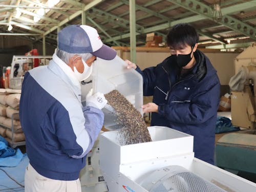 ごみを取り除きながら蕎麦の実を選別しています