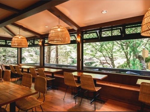 店内の様子。周囲を緑に囲まれており、開放感とぬくもりを感じられる空間です。