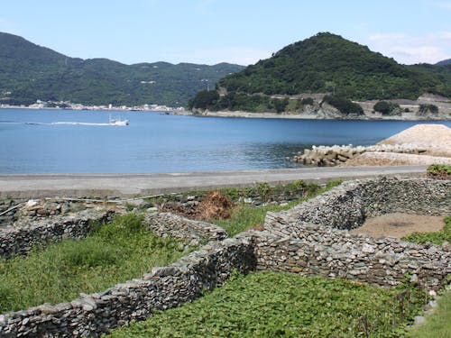 井野浦石垣畑(学芸員)