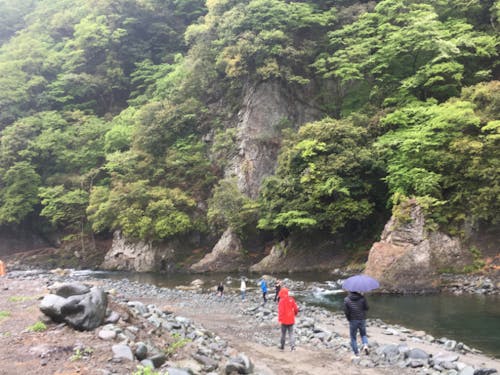 社内合宿で、時には野外キャンプへ