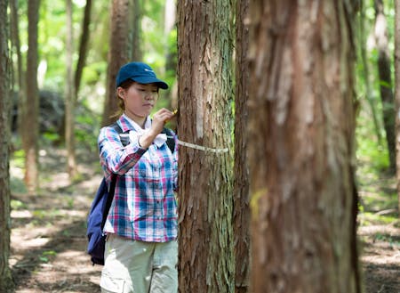 “森をデザインする、森林調査”の一幕。木の太さを測って、森の健康状態を調査している。