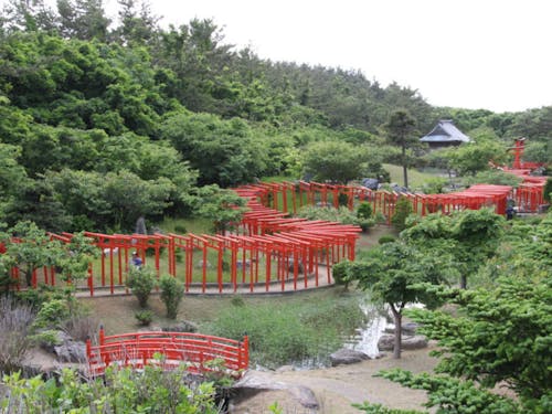 高山稲荷神社の千本鳥居