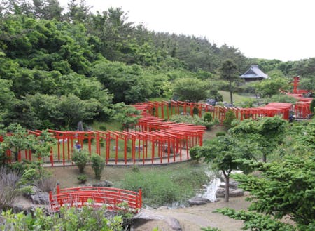 高山稲荷神社の千本鳥居