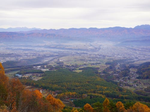環境や気候を活かした農業推進の可能性