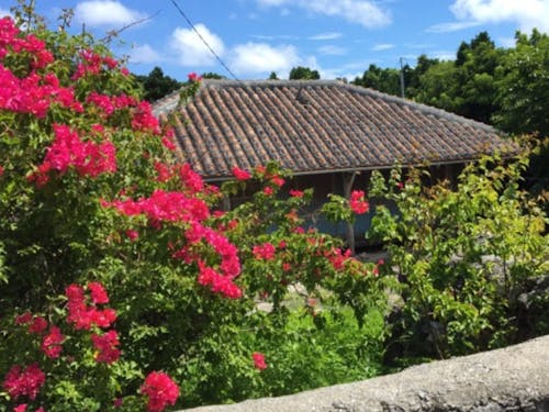 沖縄の田舎は今ものんびりした時間が流れています。
