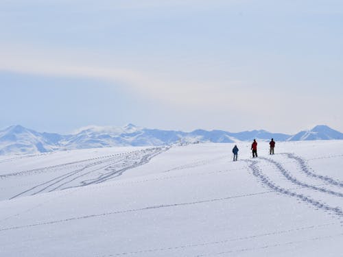 スノーシュー体験