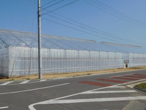 鉄骨ハウス外観