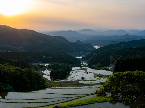 田植えをしたばかりの蕨野の棚田。美しい日本の原風景です。