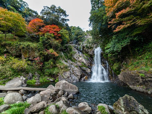 日本の滝百選に選ばれた見帰りの滝。春は桜、夏は新緑、秋は紅葉が美しいパワースポットです。