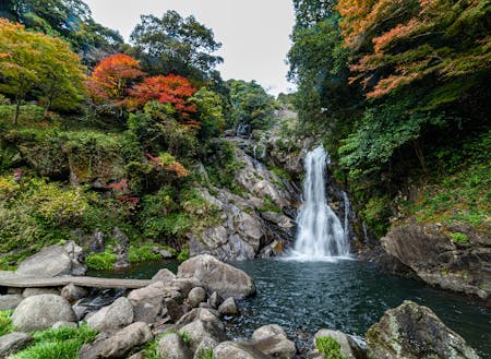 日本の滝百選に選ばれた見帰りの滝。春は桜、夏は新緑、秋は紅葉が美しいパワースポットです。