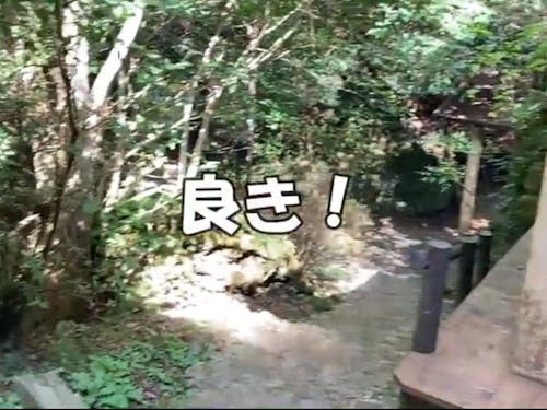 そうめん流しの風景