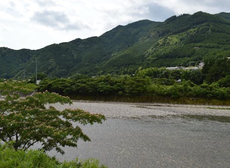 森林組合おわせのすぐそばを流れる銚子川