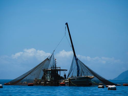 愛南町の養殖場