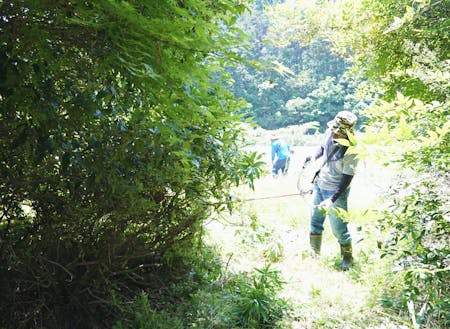 空き家の庭の除草作業の様子