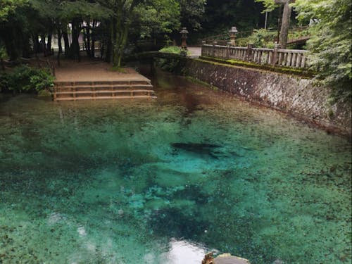 不思議なほど美しい透き通ったブルーの水の弁天池