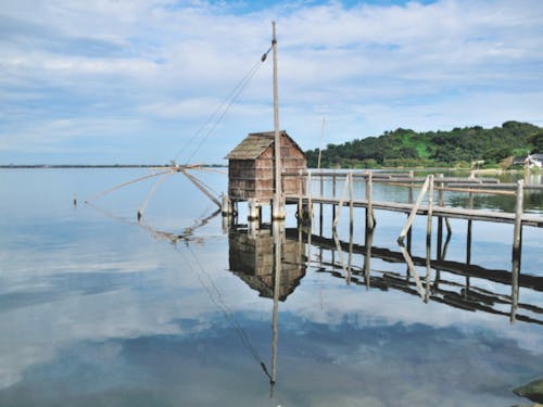 「たみ」のすぐ近くにある東郷池