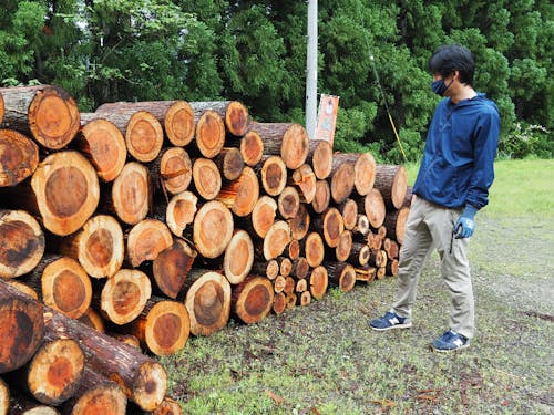 美方郡内には5つの出荷場所