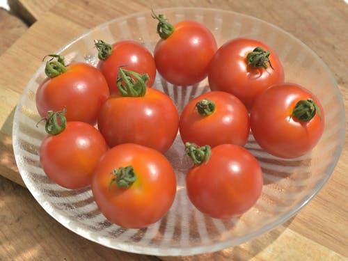 甘さたっぷり、様々な展開可能性があるトマトです