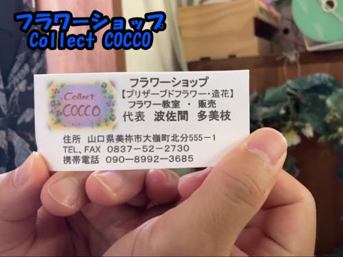 フラワーショップCollect COCCO