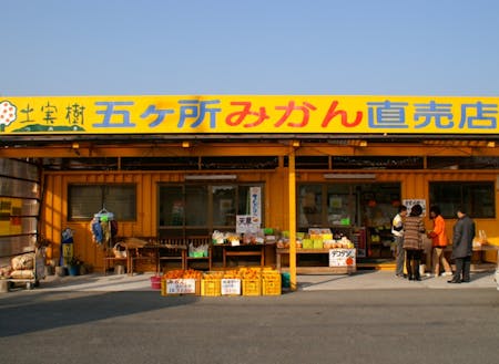 柑橘だけでなく南伊勢町で生産された商品や自社開発商品が数多く陳列販売