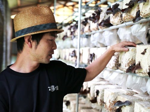 安田 悟氏(移ヶ茸)