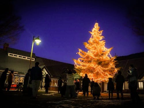 協力隊同士が連携する企画も