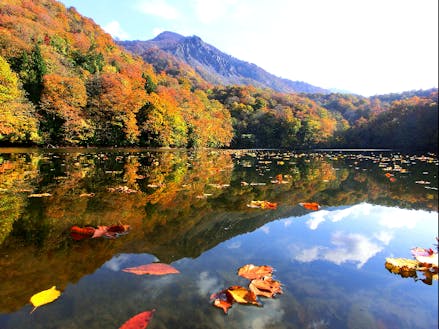 秋の十二湖