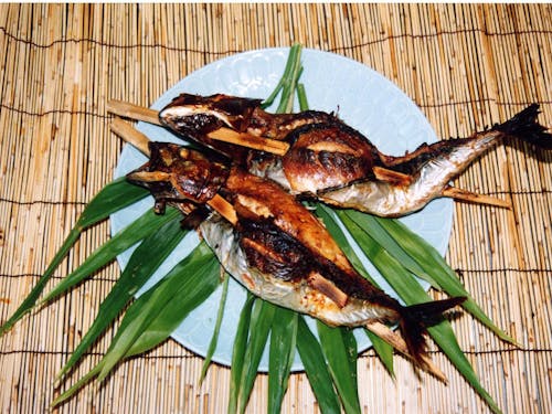 雲南市_焼きさば