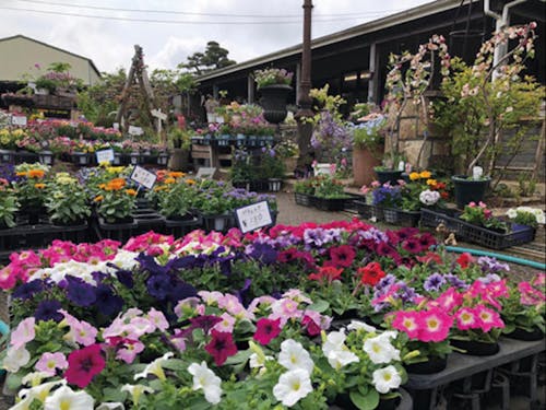 Gardening shop akaza