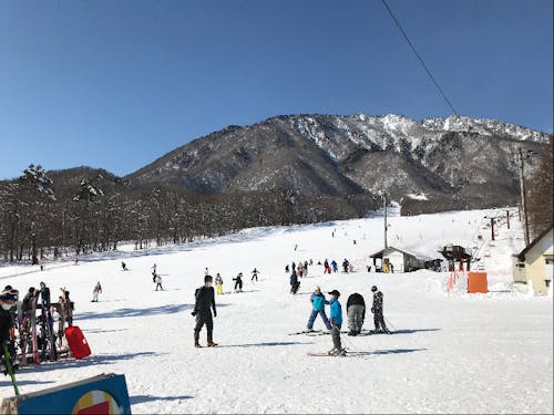 休日に楽しめるアクティビティ