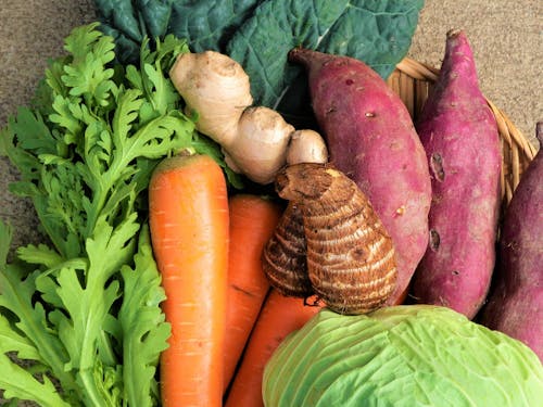 秋にはプロ品質の野菜をつくる自信が芽生えます!