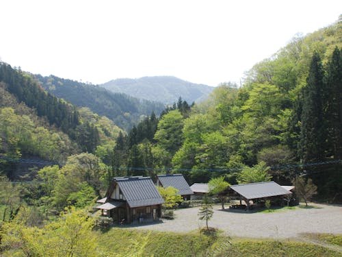渓谷沿いの小さなキャンプ場 諸塚山渓流の里