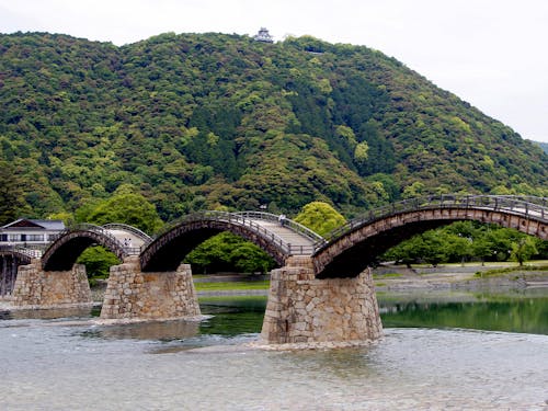 岩国市といえば錦帯橋☆四季折々の美しさを体験してください!