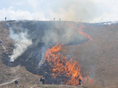 塩塚高原の山焼き