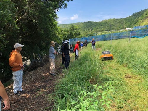スマート農業実証風景