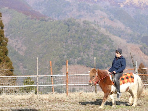 お宿によって異なる様々な体験ができるのも特徴です。